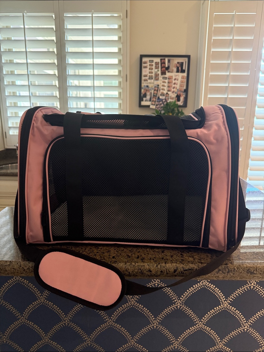 Small Pet Pink and Black Mesh Carrier